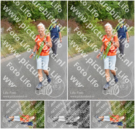 Evenement foto: Nijmeegse Vierdaagse 748