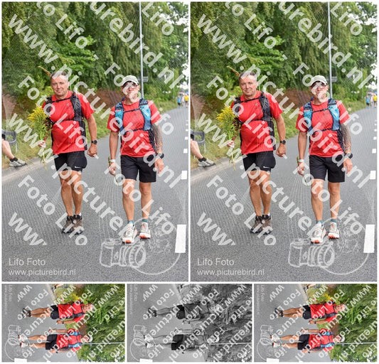 Evenement foto: Nijmeegse Vierdaagse 748