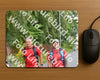 Evenement foto: Nijmeegse Vierdaagse 748