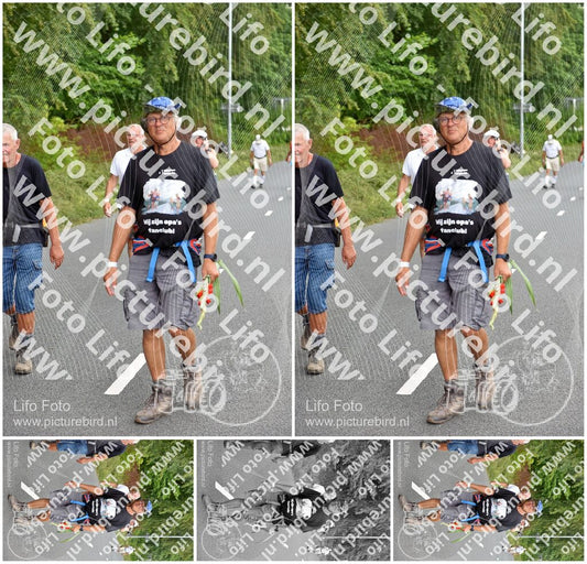 Evenement foto: Nijmeegse Vierdaagse 748