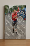 Evenement foto: Nijmeegse Vierdaagse 747