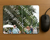 Evenement foto: Nijmeegse Vierdaagse 747