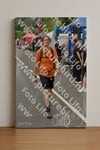 Evenement foto: Nijmeegse Vierdaagse 747