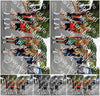Evenement foto: Nijmeegse Vierdaagse 747