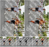 Evenement foto: Nijmeegse Vierdaagse 746