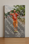 Evenement foto: Nijmeegse Vierdaagse 746