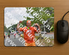 Evenement foto: Nijmeegse Vierdaagse 746