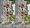 Evenement foto: Nijmeegse Vierdaagse 746