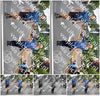 Evenement foto: Nijmeegse Vierdaagse 746