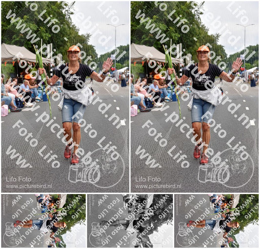 Evenement foto: Nijmeegse Vierdaagse 746