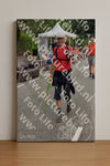 Evenement foto: Nijmeegse Vierdaagse 746