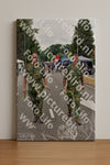 Evenement foto: Nijmeegse Vierdaagse 746