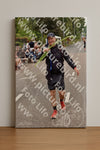 Evenement foto: Nijmeegse Vierdaagse 746