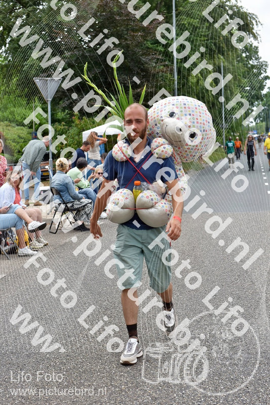 Evenement foto: Nijmeegse Vierdaagse 746