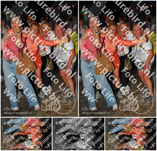 Evenement foto: Nijmeegse Vierdaagse 1173