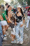 Evenement foto: Nijmeegse Vierdaagse 1149
