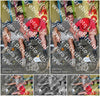 Evenement foto: Nijmeegse Vierdaagse 1149