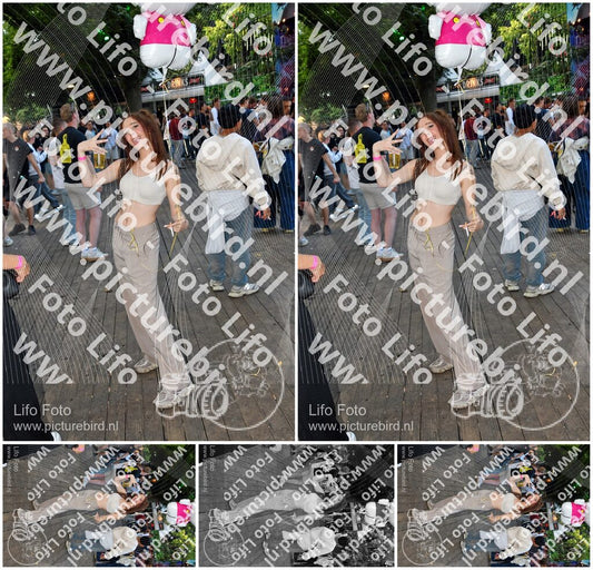 Evenement foto: Nijmeegse Vierdaagse 1148