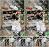Evenement foto: Nijmeegse Vierdaagse 1148