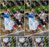 Evenement foto: Nijmeegse Vierdaagse 1147