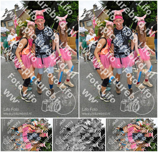 Evenement foto: Nijmeegse Vierdaagse 1146