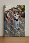 Evenement foto: Nijmeegse Vierdaagse 1146