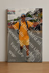 Evenement foto: Nijmeegse Vierdaagse 1146