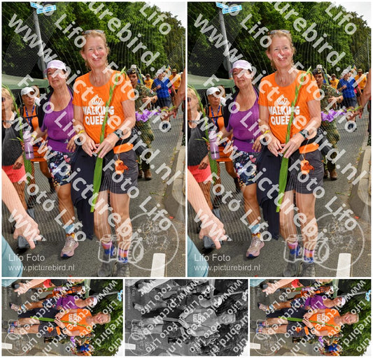 Evenement foto: Nijmeegse Vierdaagse 1146