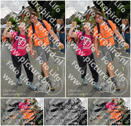 Evenement foto: Nijmeegse Vierdaagse 1146