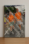 Evenement foto: Nijmeegse Vierdaagse 1146