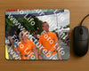 Evenement foto: Nijmeegse Vierdaagse 1146