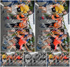 Evenement foto: Nijmeegse Vierdaagse 1146