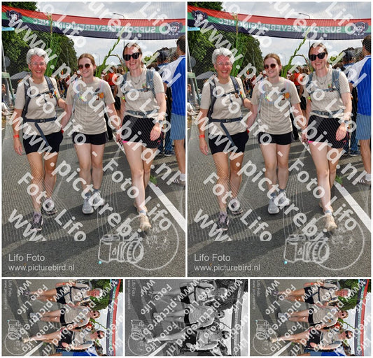 Evenement foto: Nijmeegse Vierdaagse 1146