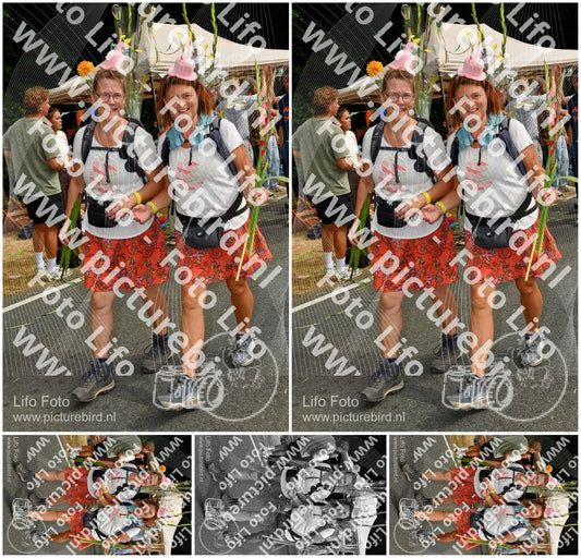 Evenement foto: Nijmeegse Vierdaagse 1146
