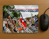 Evenement foto: Nijmeegse Vierdaagse 1146