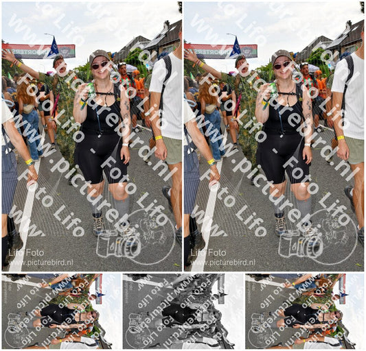 Evenement foto: Nijmeegse Vierdaagse 1145