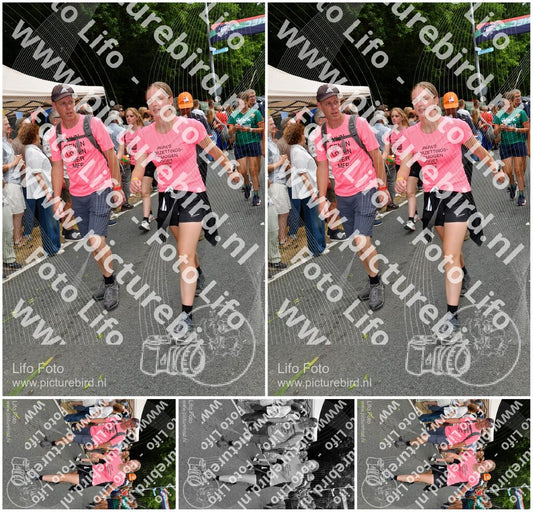 Evenement foto: Nijmeegse Vierdaagse 1145