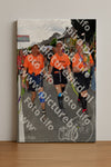 Evenement foto: Nijmeegse Vierdaagse 1145