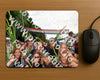 Evenement foto: Nijmeegse Vierdaagse 1145