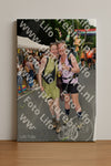 Evenement foto: Nijmeegse Vierdaagse 1145
