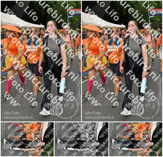 Evenement foto: Nijmeegse Vierdaagse 1145