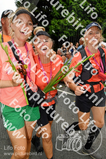 Evenement foto: Nijmeegse Vierdaagse 1145