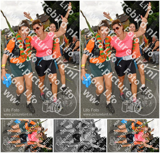 Evenement foto: Nijmeegse Vierdaagse 1145