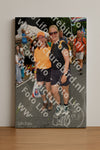 Evenement foto: Nijmeegse Vierdaagse 1145