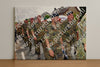 Evenement foto: Nijmeegse Vierdaagse 1144
