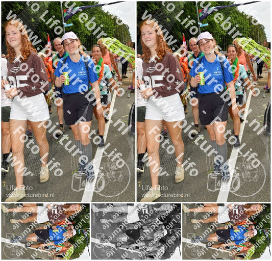 Evenement foto: Nijmeegse Vierdaagse 1144