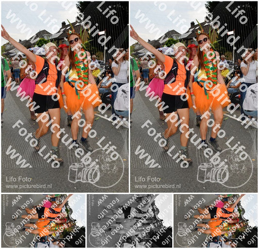 Evenement foto: Nijmeegse Vierdaagse 1144