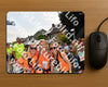 Evenement foto: Nijmeegse Vierdaagse 1144