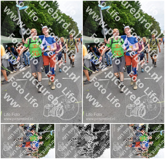 Evenement foto: Nijmeegse Vierdaagse 1143