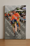 Evenement foto: Nijmeegse Vierdaagse 1143